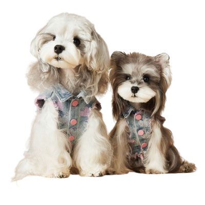 pet accesories